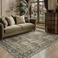 thumbnail image 2 of BERTHMEER 3'x5' Small Area Rugs for Entryway Office Indoor Washable Rugs Traditional Oriental Rugs Non-slip, Brown, 2 of 7