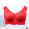 thumbnail image 3 of RKSTN Women's Plus Size Bra Unadjustable Sports Extra-Elastic Breathable Lace Trim Bra, 3 of 4