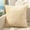 Multicolor a19005, variant on Cagogo under $5 Velvet Pleated Pillowcase, Solid Color Velvet Pillowcase, Quilted Sofa Cushion Cover, Headboard Back Support Pillow, Office Lumbar Cushion, Waist Protection Comfort