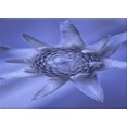 thumbnail image 1 of Ahgly Company Machine Washable Indoor Rectangle Transitional Sky Blue Area Rugs, 2' x 5', 1 of 7