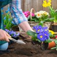 thumbnail image 2 of KAKOWELY 9PCS Gardening Tools Portable Shovel Rake Planting Flowers Tools for Yard Garden,8.07X"X1.57"X1.18", 2 of 5