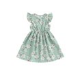 thumbnail image 1 of EYIIYE Robe Midi d'Été pour Petite Fille 1T-8T, Robe Trapèze à Manches Volantées pour Tout-Petit, Imprimé Floral, Col Rond, Robe Décontractée, Col Rond, Robe de Princesse à Fleurs pour Fête, Mode pour Enfants, Vêtements Mignons pour les Vacances, 1 of 6