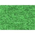 thumbnail image 1 of Ahgly Tapis Rectangulaire Lavable en Machine Intérieur Transitionnel Vert Néon, 2 Pieds x 3 Pieds, 1 of 7