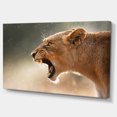 thumbnail image 2 of Lion Showing Dangerous Teeth - African Canvas Art Print, 2 of 3