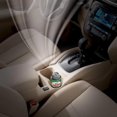 thumbnail image 2 of ODOR X KIT Turtle Wax, 2 of 2
