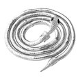 thumbnail image 2 of Snake Necklace Punk Necklace Irregular Necklace Hip Hop Punk Cool Irregular Bending Metal Snake Necklace Animal Adjustable Snake Multilayer Necklace For Women Party Jewellery, 2 of 8