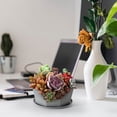 thumbnail image 3 of EGNMCR Seedling Tray Resin Plastic Fleshy Flower Pot Balcony Potted Green Radish Plant Imitation Ceramic With Bottom Support Thickened Small Seedling Tray, 3 of 4