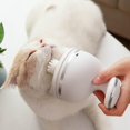 thumbnail image 1 of Cergrey Masseur Robuste pour Chat, Masseur pour Animal de Compagnie, pour Chien Chat Animal Lapin, 1 of 8
