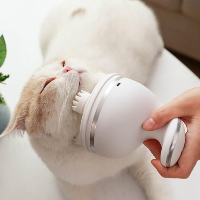 Cergrey Masseur Robuste pour Chat, Masseur pour Animal de Compagnie, pour Chien Chat Animal Lapin