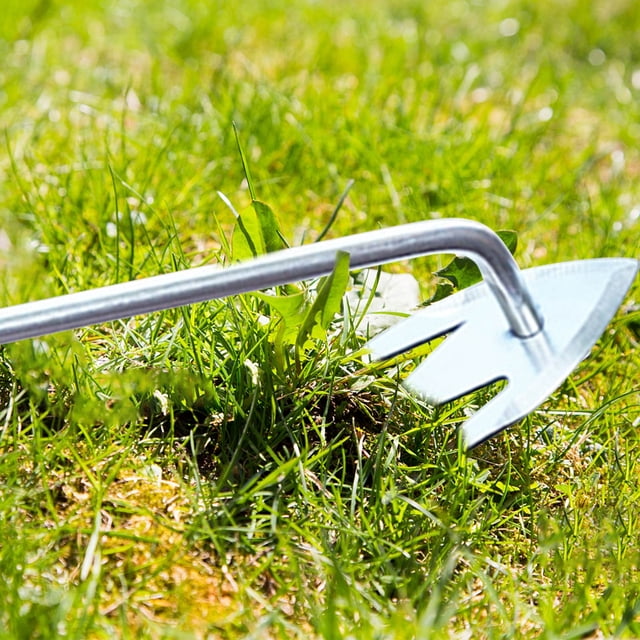 Weed Remover Stainless Steel Pulling Tool Gardening Hoe Rake Agricultural Tools Small Hoe Loosening