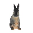 thumbnail image 1 of KLKCMS Realistic Animal Model Plastic Farm Animals Model Figures Cognitive Toy, 1 of 7