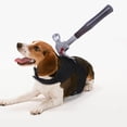 thumbnail image 4 of BKER Costume d'Halloween pour Animaux de Compagnie pour Chiens Chats Tenue Mignonne Déguisement d'Animal Tenue de Fête avec Design Confortable, 4 of 4