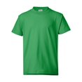 thumbnail image 1 of Hanes Garçon ComfortBlend EcoSmart Col Ras du Cou, TP, Vert Kelly, 1 of 1