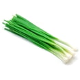 thumbnail image 2 of NO BRAND FRESHVEG GREEN ONIONS, 2 of 2