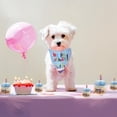 thumbnail image 2 of Ruiboury Dog birthday cake plush toy, 2 of 9