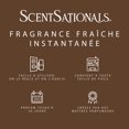 thumbnail image 4 of D'huile parfumée Scentsationals - Ambiance douillette, 4 of 6