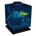thumbnail image 5 of GloFish Betta Aquarium Kit Perfect Starter Tank, 5 of 5