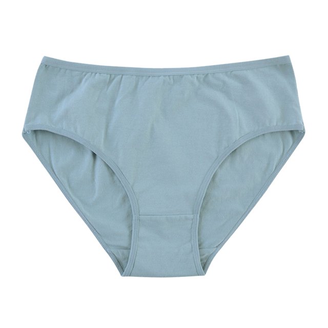 B91xZ Culotte Sans Couture pour Femmes, String Respirant Sans Couture, Bleu L