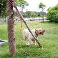 thumbnail image 3 of Dog Leash Training Lead Outdoor Long Leash, 3 of 5
