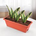 thumbnail image 1 of LSLJS Plastic Vegetable Flower Planters Boxes Vegetable Planting Pots Flower Pots Balcony Vegetable Planting Trough for Indoor Outdoor Garden, Patio, Home Decor, 1 of 3