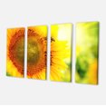 thumbnail image 2 of Sunflower Blooming on Field - Large Animal Canvas Art Print, 2 of 3