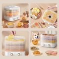 thumbnail image 4 of Piwvid Food Dehydrator Machine | 5 Stackable Stainless Steel Trays Dryer with Digital Adjustable Timer & Temperature Control - Electric Food Preserver for Fruits, Veggies, Meats & Dog Treats, 4 of 7