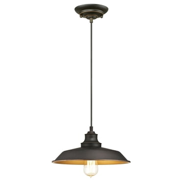 Westinghouse Luminaire Suspendu à Une-Lumière Iron Hill