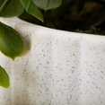 thumbnail image 4 of Bouclair Waterfall Eucalyptus in White Hourglass Pot, 4 of 10