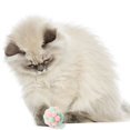 thumbnail image 4 of Funny Cat Toy Stretch Ball Juguetes Cats Creative Colorful Interactive Pussy Toy, 4 of 9