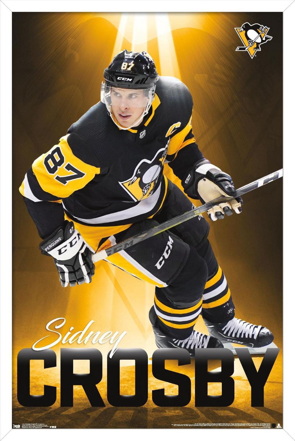 NHL Penguins de Pittsburgh