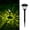 Black 9Q4, variant on Rvkxad Solar Landscape Lights, IP55 Waterproof Outdoor Spotlights for Garden and Yard, Wireless Solar Powered Lights, Garden Lighting