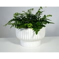 thumbnail image 4 of Better Homes & Gardens 8" Ceramic Cup Pot-White, 4 of 7