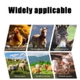thumbnail image 5 of Wzzjkit Équipement de Couteau de Rasage pour Raser Visage de Cochon Pieds de Cochon Disque de Couteau à Cheveux, 5 of 5