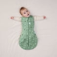 thumbnail image 5 of ergoPouch - Cocoon Swaddle Sack 2.5tog, 5 of 5
