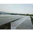 thumbnail image 4 of Anti-Bird Net Protection Fruit Tree Flower Cover Garden Net Protect Plants;Anti-Bird Net Protection Fruit Tree Flower Cover Garden Net Protect Plants, 4 of 6