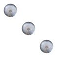 thumbnail image 4 of Baohd Exquisite Flower Crystal Ball Adding Elegance To Space Easily Portable Dandelions 6cm 3Set, 4 of 6