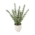 thumbnail image 1 of Anko Art Eucalyptus In Pot, 1 of 4