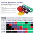thumbnail image 2 of TOMSHOO Ensemble de 5 Bandes de Résistance à Intensités Variables : Jaune (8-15 Lb), Rouge (15-35 Lb), Noir (25-65 Lb), Violet (35-85 Lb), Vert (50-125 Lb) - Comprend un Sac de Transport et un Manuel pour Améliorer la Mise en Forme, 2 of 7