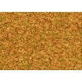 thumbnail image 1 of Ahgly Company Machine Washable Indoor Rectangle Transitional Mahogany Brown Area Rugs, 6' x 9', 1 of 7
