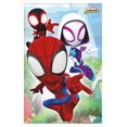 thumbnail image 1 of Marvel Spidey et ses incroyables amis - Webs, 1 of 5