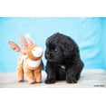 thumbnail image 4 of Clean Earth Plush - 100% Sustainable Caribou Dog Toy, 4 of 6