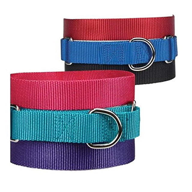 Guardian Gear Asst Color Bulk Martingale Dog Collars Shelter Rescue Litter Pick Size/Quantity (18-26 Inch 20 Collars)