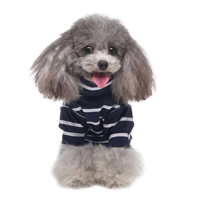 Vêtements pour Animaux Chandail Col Roulé Rayé Deux-Pièces Chandail pour Animaux