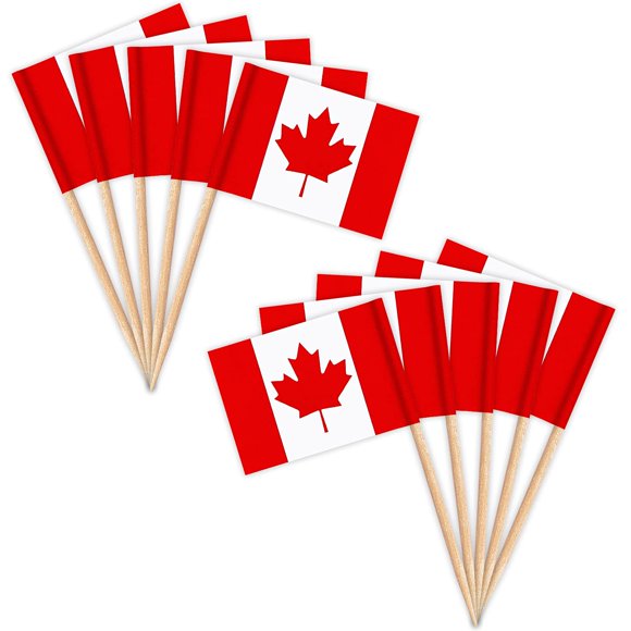 ZXvZYT Drapeau Cure-Dents (Canada)