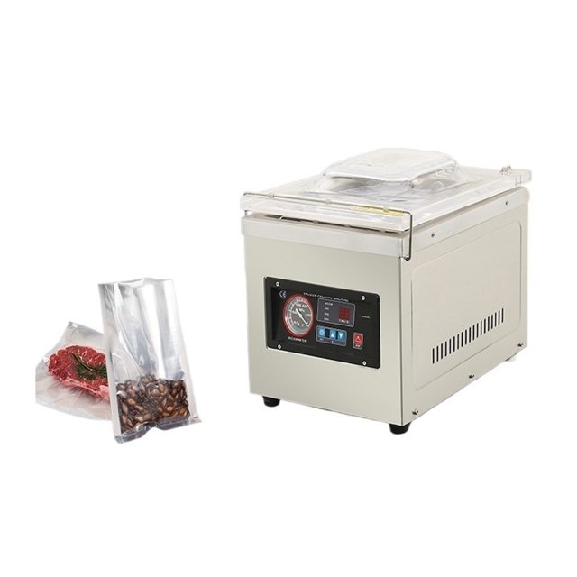 Machine de Scellage DZ-260, Scelleuse Thermique, Machine de Scellage sous Vide pour Grains