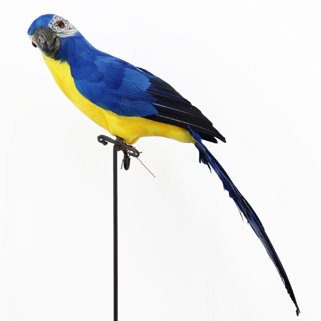Agiferg 1pcs Artificial Foam Birds Simulation Birds Home Craft Ornament Five Colors