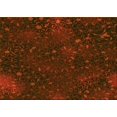 thumbnail image 1 of Ahgly Tapis Rectangulaire Lavable en Machine Intérieur Transitionnel Brun Selle, 7 Pieds x 10 Pieds, 1 of 7