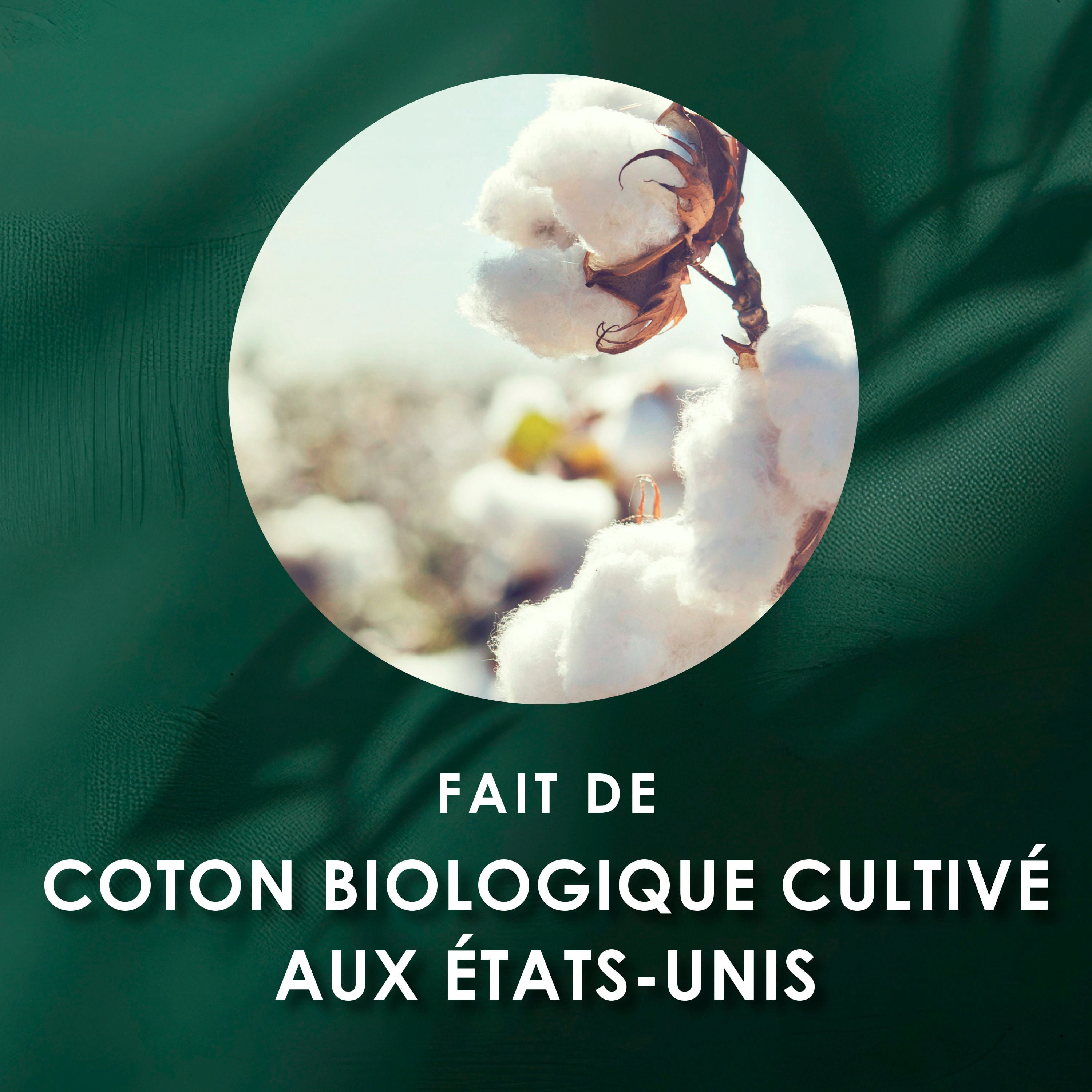 L. Serviettes Ultra-Minces pour Femmes, Voile Supérieur en Coton Biologique, Absorption de Nuit, Serviettes Menstruelles avec Ailes 36 Unités