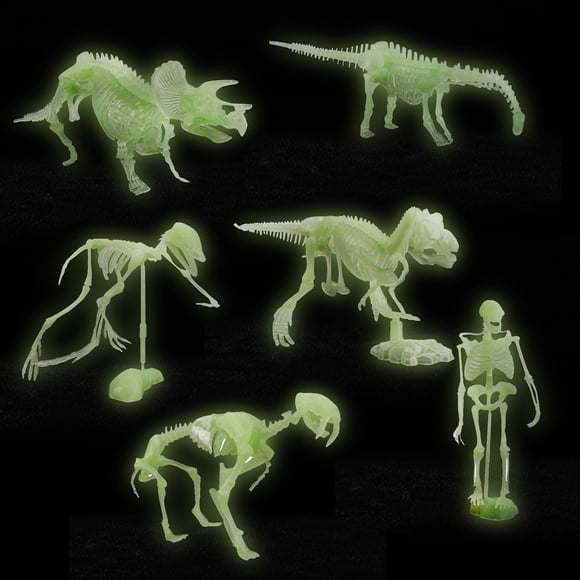 Leutsin Educational Toys,Montessori Learning Toys,6Pcs Noctilucent Dinosaur Human Skeleton Model Assembly Skull Toy Bones Decor