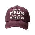 thumbnail image 4 of Jienlioq It's Not My Circus It's Not My Embroidered Hat, 4 of 6